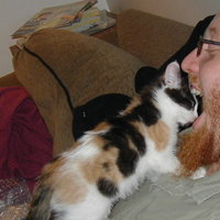 /gallery/scale/1119258010-24609-452-sq.jpg
