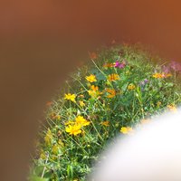 /gallery/scale/1121948231-1785-580-sq.jpg
