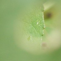 /gallery/scale/1122478041-19530-698-sq.jpg