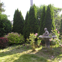 /gallery/scale/1133747561-10470-336-sq.jpg