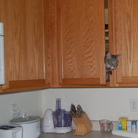 /gallery/scale/1135655733-30138-430-sq.jpg