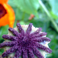 /gallery/scale/1151008035-30965-690-sq.jpg