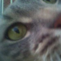 /gallery/scale/1159502874-999-443-sq.jpg