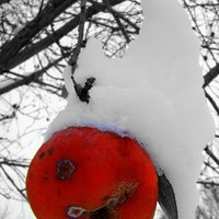 /gallery/scale/1164924655-23907-948-sq.jpg