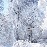 /gallery/scale/1172607426-7750-63-sq.jpg