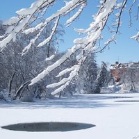 /gallery/scale/1172607602-7812-806-sq.jpg