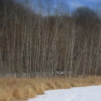 /gallery/scale/1172647636-22502-148-sq.jpg