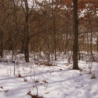 /gallery/scale/1172648486-22675-273-sq.jpg