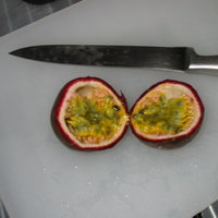 /gallery/scale/1178595173-2922-385-sq.jpg