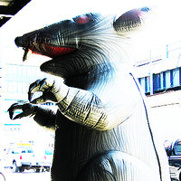 /gallery/scale/1188245620-19768-501-sq.jpg