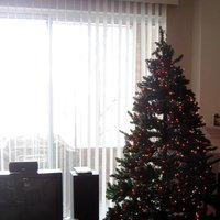 /gallery/scale/1198526927-570-495-sq.jpg