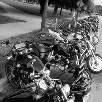 /gallery/scale/1206129026-11965-471-sq.jpg