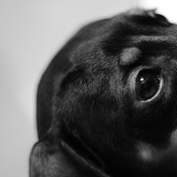 /gallery/scale/1207625528-24467-427-sq.jpg