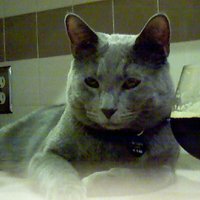 /gallery/scale/1209489470-4614-43-sq.jpg