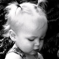/gallery/scale/1214029224-712-996-sq.jpg