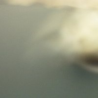 /gallery/scale/1215830091-27608-839-sq.jpg
