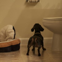 /gallery/scale/1215891885-10749-63-sq.jpg
