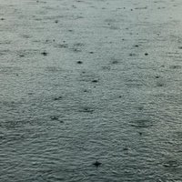 /gallery/scale/1217301702-4512-122-sq.jpg