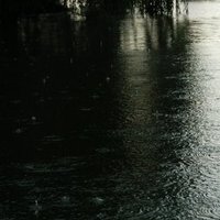 /gallery/scale/1217301713-4520-575-sq.jpg