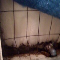 /gallery/scale/1218158626-2748-115-sq.jpg