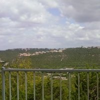 /gallery/scale/1222370815-3001-202-sq.jpg
