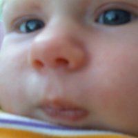 /gallery/scale/1223774319-22597-956-sq.jpg