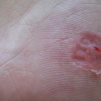 /gallery/scale/1226778153-482-847-sq.jpg