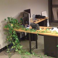 /gallery/scale/1228448685-1068-475-sq.jpg