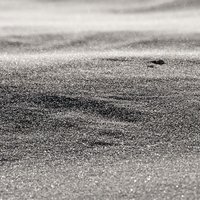 /gallery/scale/1232921786-32195-606-sq.jpg