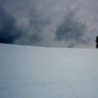 /gallery/scale/1235354264-6218-642-sq.jpg