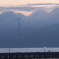 /gallery/scale/1245125741-17577-408-sq.jpg