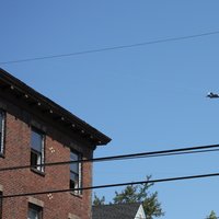 /gallery/scale/1249264816-11200-350-sq.jpg