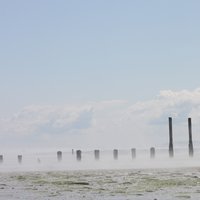 /gallery/scale/1250564576-7721-847-sq.jpg