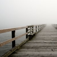 /gallery/scale/1251689985-9146-495-sq.jpg