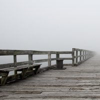 /gallery/scale/1251690032-9164-517-sq.jpg