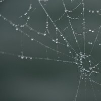 /gallery/scale/1251690065-9177-736-sq.jpg