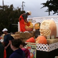 /gallery/scale/1256437697-30126-948-sq.jpg