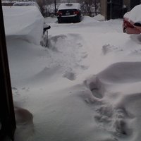 /gallery/scale/1260378562-32013-459-sq.jpg