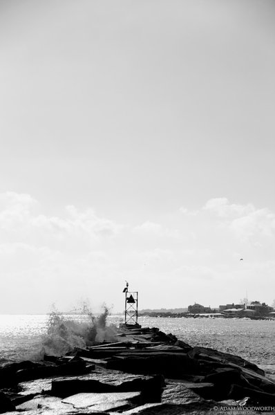 tagisu - 1261257153-17789-739
