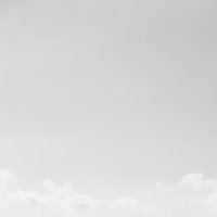 /gallery/scale/1261257153-17789-739-sq.jpg
