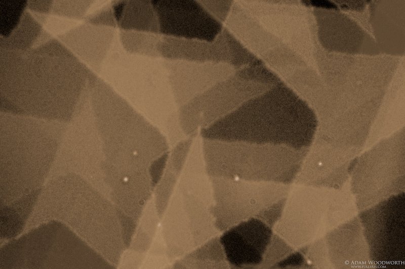 tagisu - 1262139626-16890-369