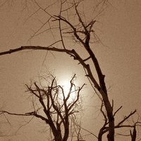 /gallery/scale/1262386052-17710-813-sq.jpg