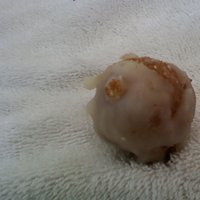 /gallery/scale/1267546338-17678-434-sq.jpg