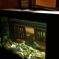 /gallery/scale/1268538511-1398-360-sq.jpg