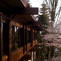 /gallery/scale/1268957362-1743-27-sq.jpg