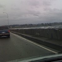 /gallery/scale/1270252668-21328-613-sq.jpg