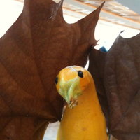 /gallery/scale/1270329455-32001-58-sq.jpg