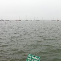 /gallery/scale/1282413952-10300-11-sq.jpg