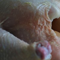 /gallery/scale/1296336494-14728-954-sq.jpg