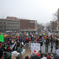 /gallery/scale/1298786441-11157-494-sq.jpg